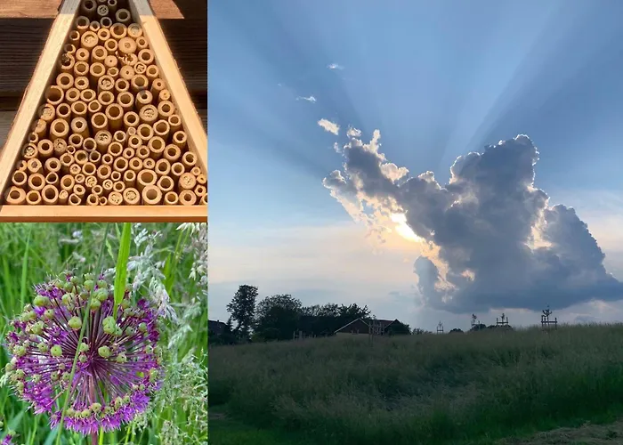 Ferienwohnung-familienidylle-im-vogtland-80qm 公寓